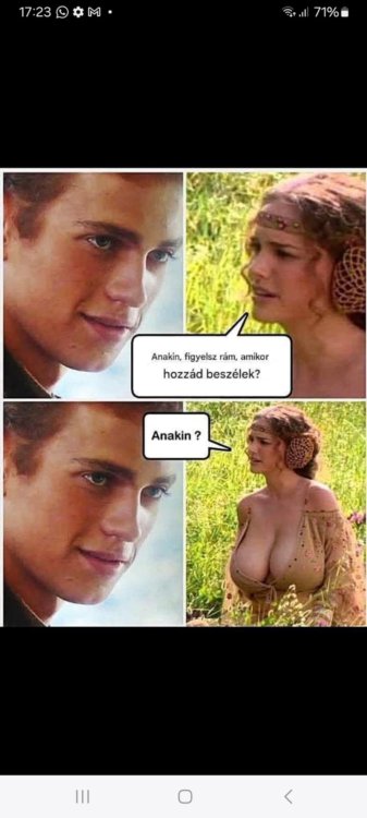 ani.jpg
