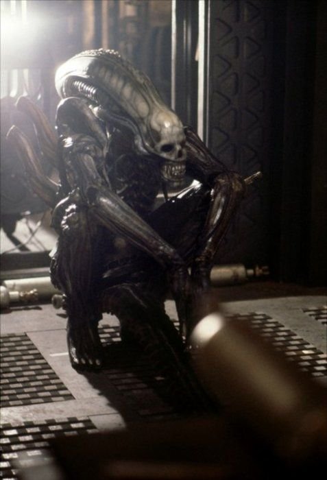 alien alien 1.jpg