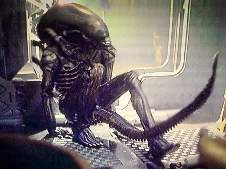 alien alien 2.jpg