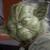 yoda99